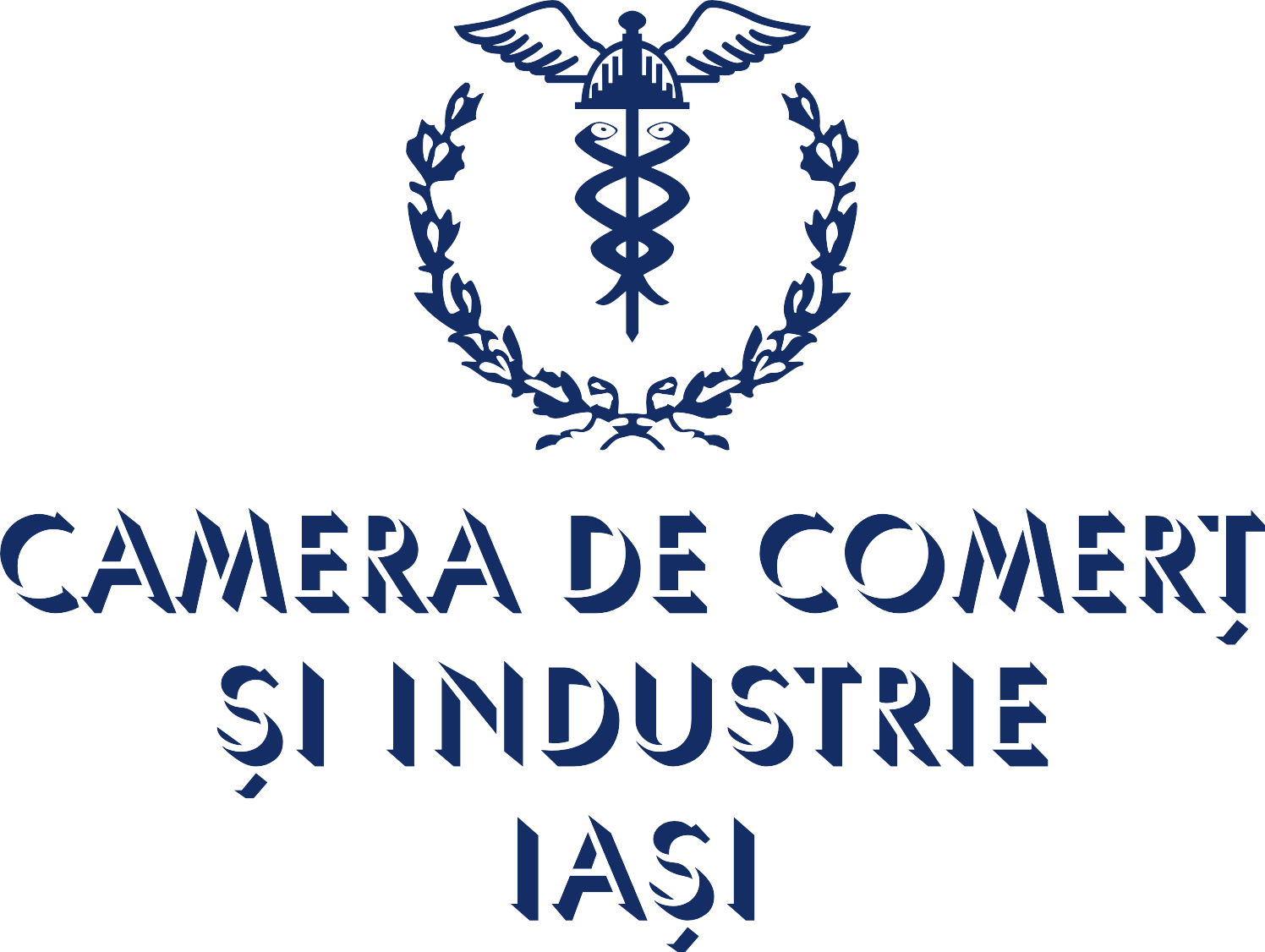 logo CCI IASI - albastru RO 2